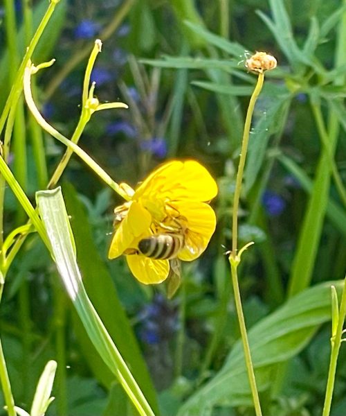 WhatsApp Image 2026-01-27 at 09.26.26